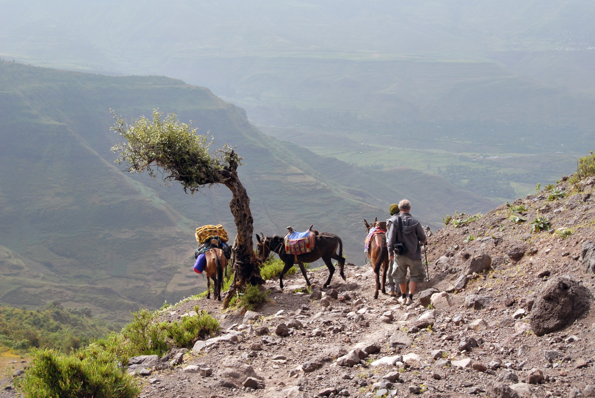 Hiking in Ethiopia TravelLocal
